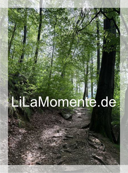 N° 34 - Hanggrabenweg am Radauwasserfall