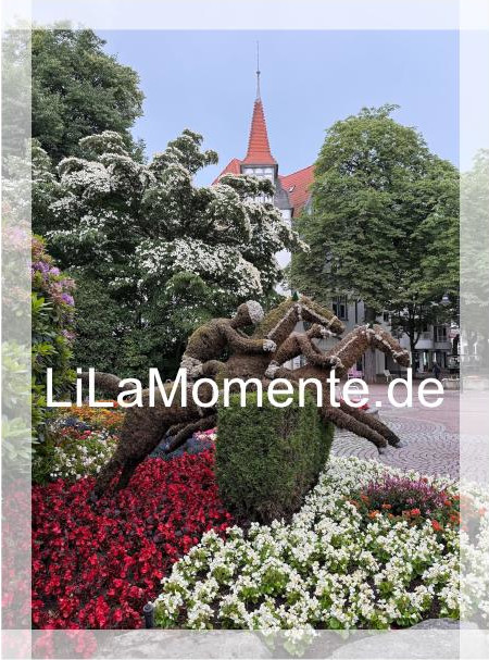 N° 13 - Blumenpferde in Bad Harzburg