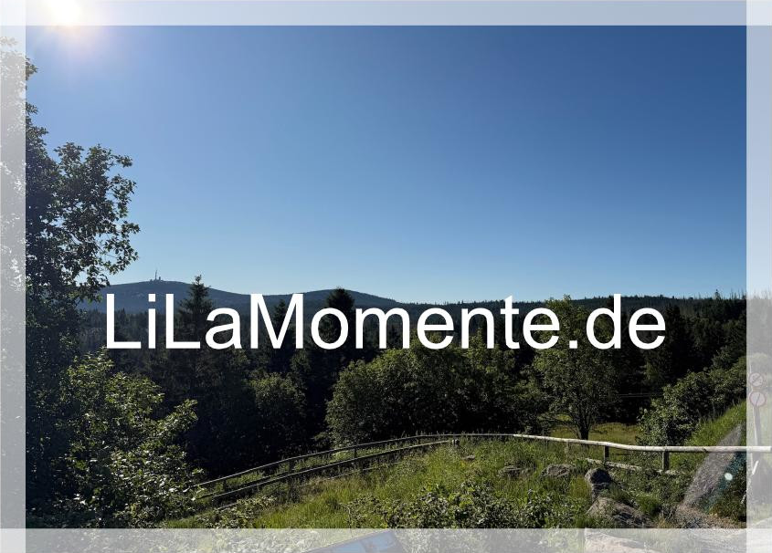 N° 16 - Brockenblick von Torfhaus