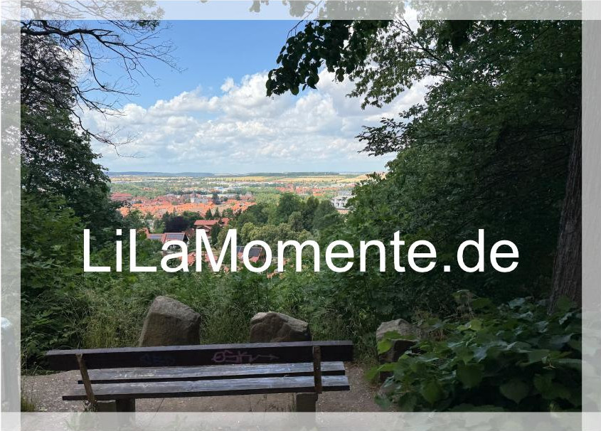 N° 15 - Wernigerode Blick vom Schlossberg