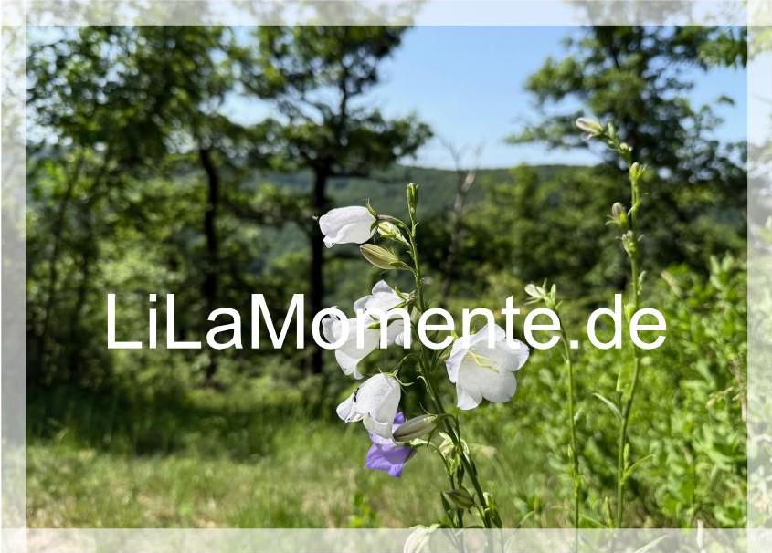 N° 10 - Blume