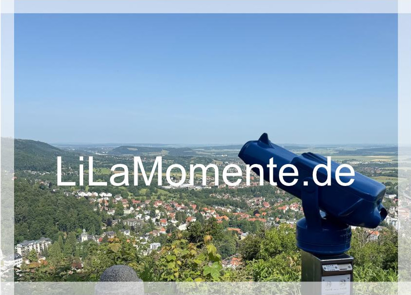 N° 8 - Blick auf Bad Harzburg vom Großen Burgberg