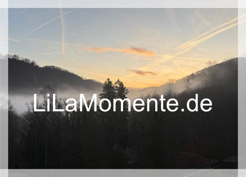 N° 19 - Wintermorgen im Kalten Tal