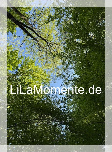 N° 1 - Blätterdach am Riefenbach
