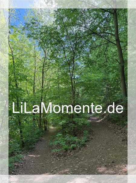 N° 2 - Abzweigung der Wanderwege am Riefenbach