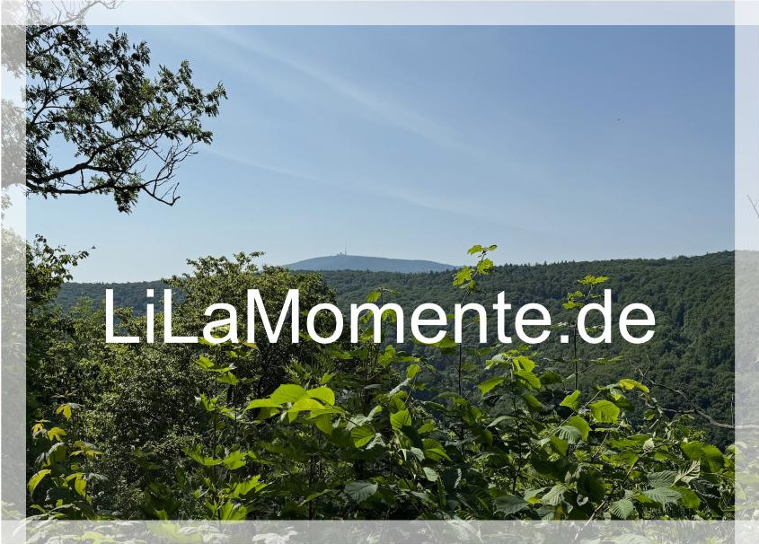 N° 9 - Brockenblick vom Großen Burgberg